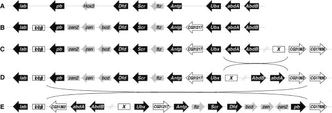 Figure 5.