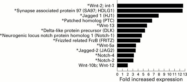 Figure 4  