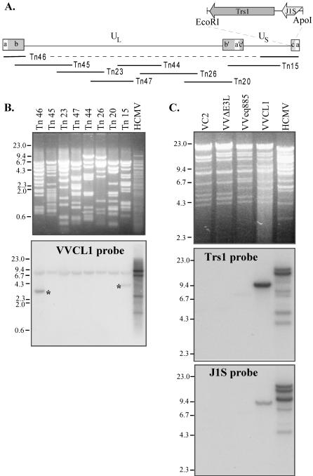 FIG. 3.