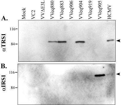 FIG. 5.