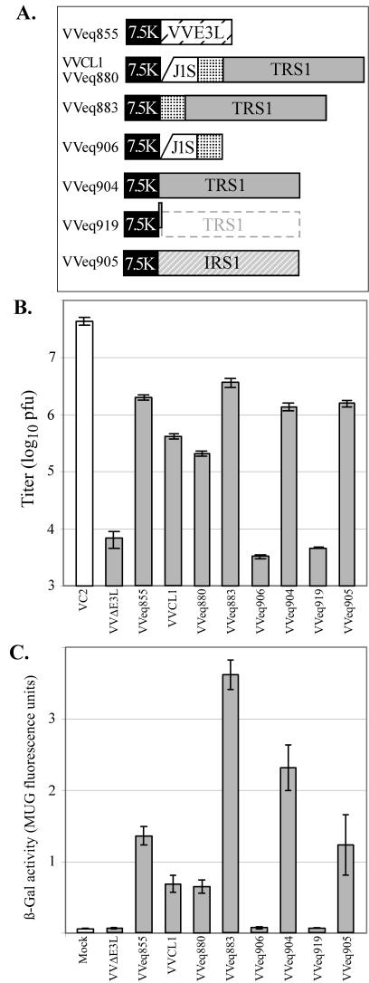 FIG.4.