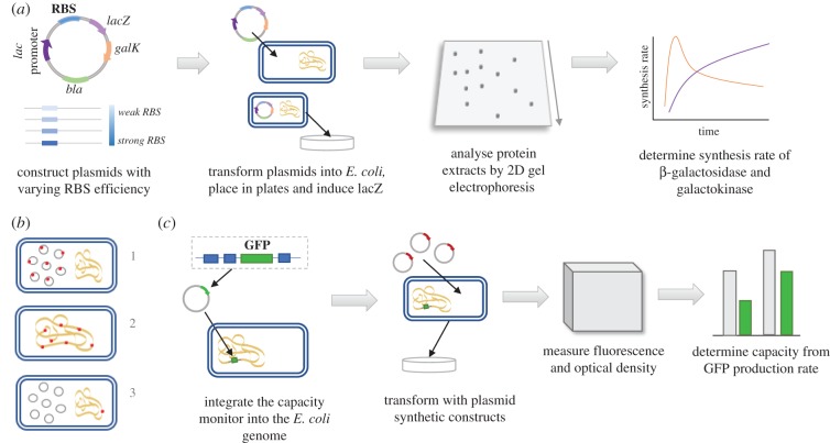 Figure 6.