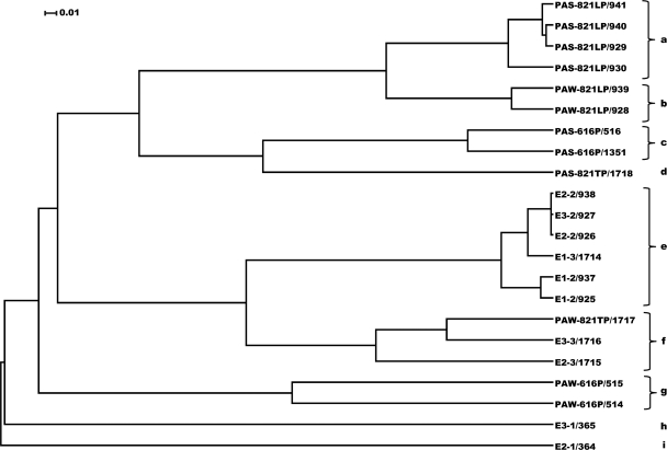 Effect of Sodium Bisulfite Injection on the Microbial Community ...