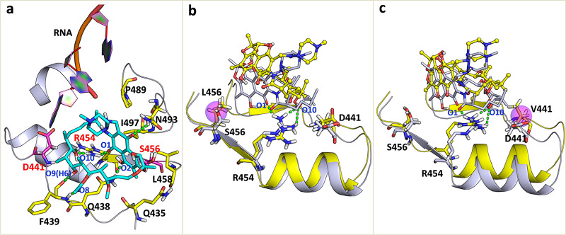 FIG 6