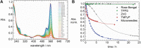 FIGURE 29
