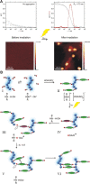 FIGURE 24