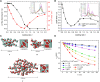 FIGURE 28