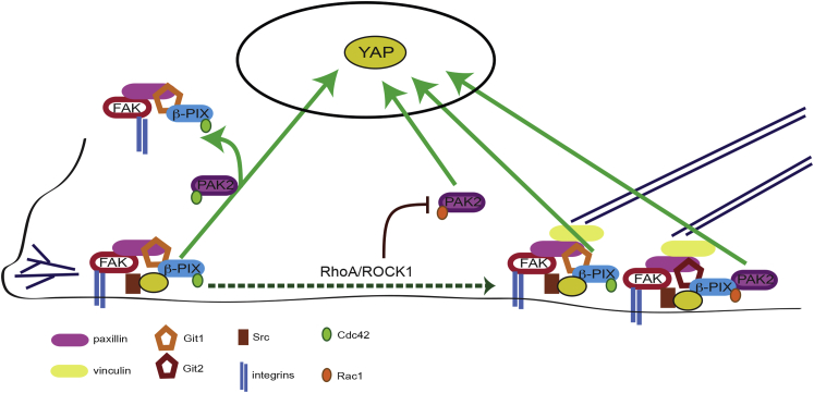 Figure 6