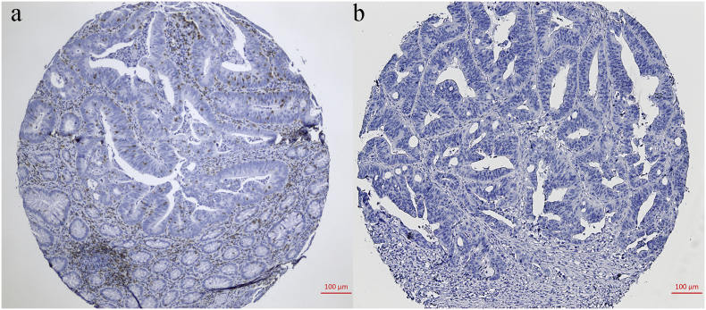 Supplementary Fig. 1