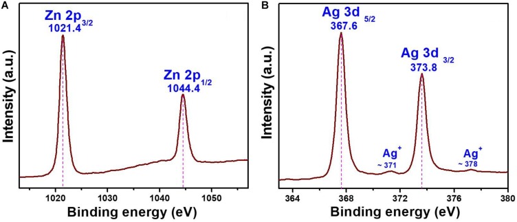 FIGURE 3