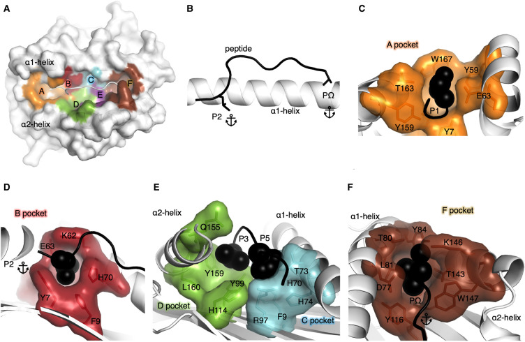 Figure 1.