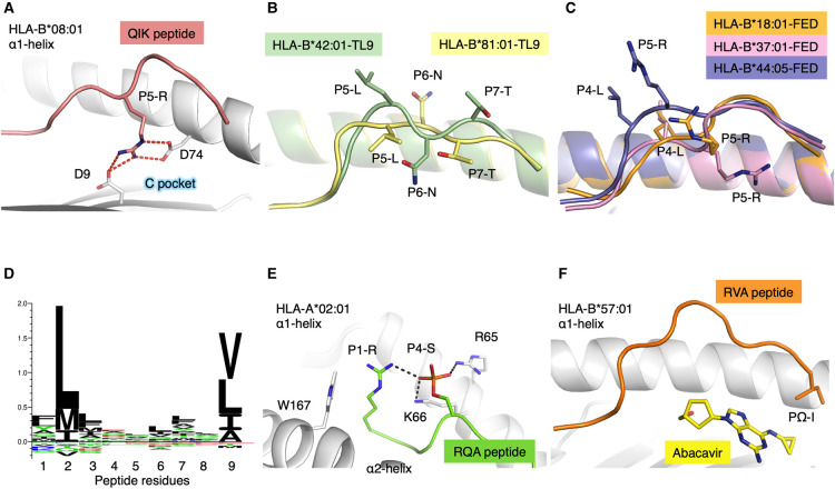 Figure 2.