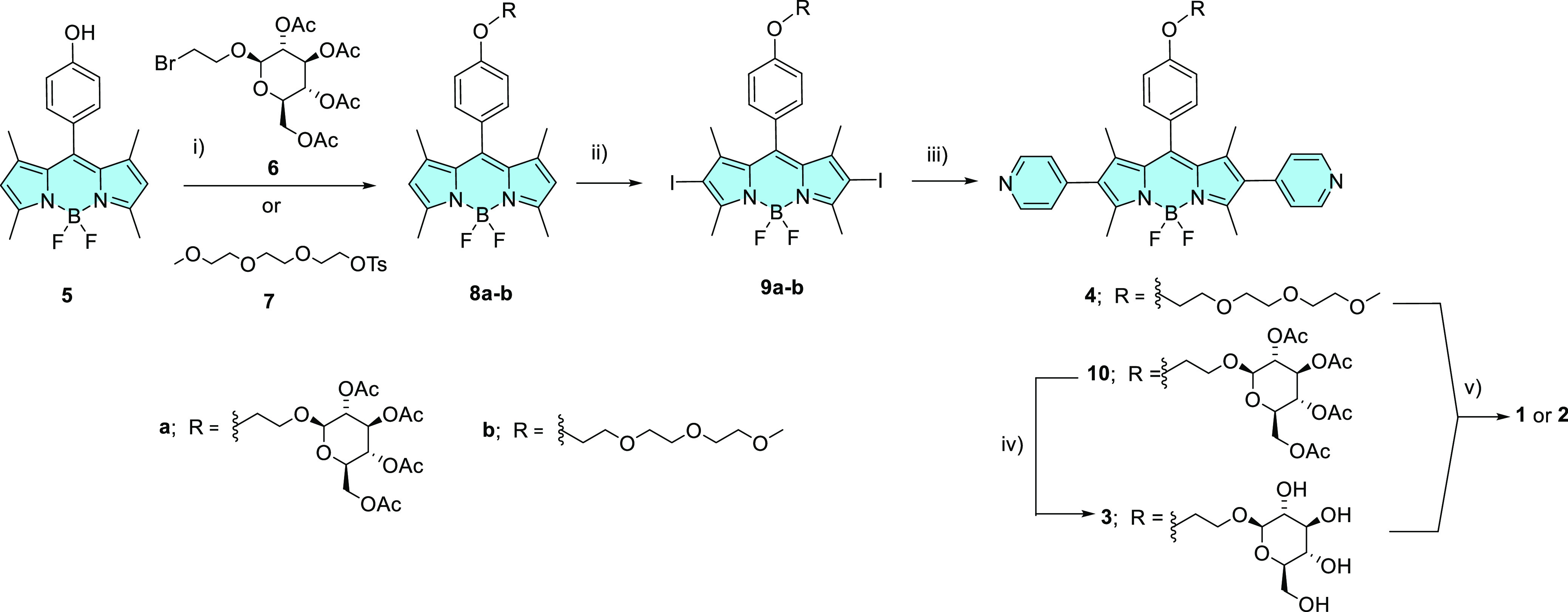 Scheme 1