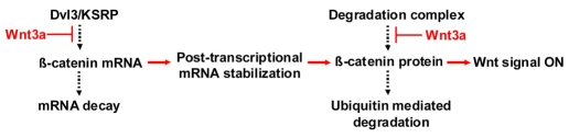 Fig. 9.