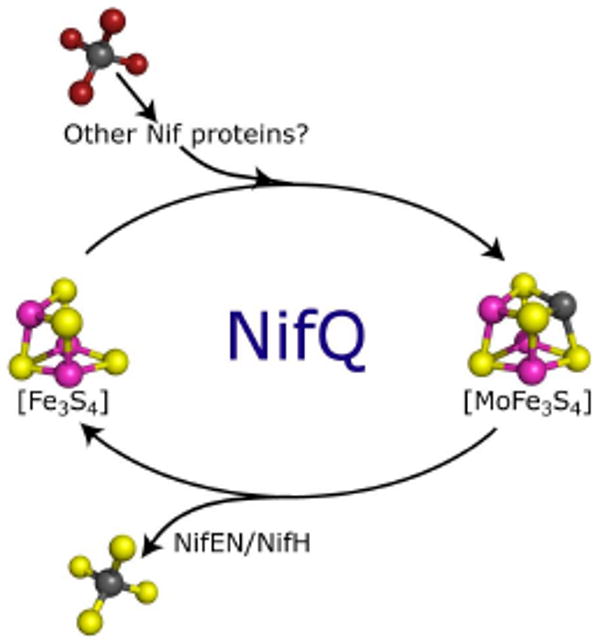 FIGURE 4