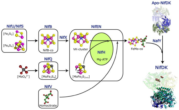 FIGURE 3