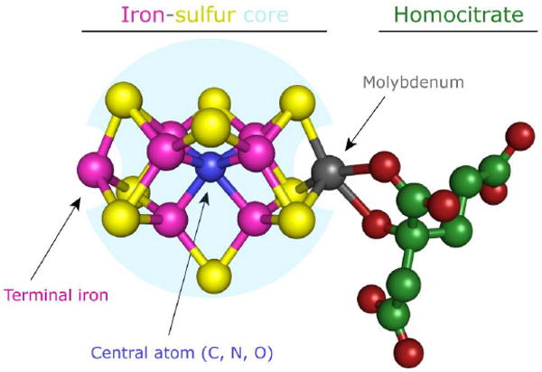 FIGURE 1