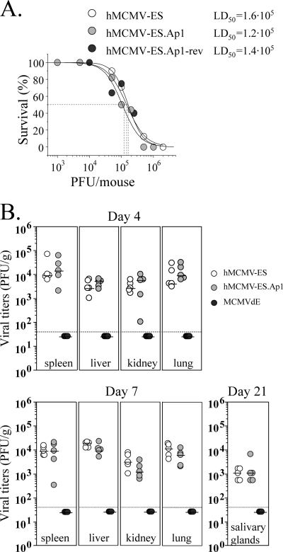 FIG. 7.