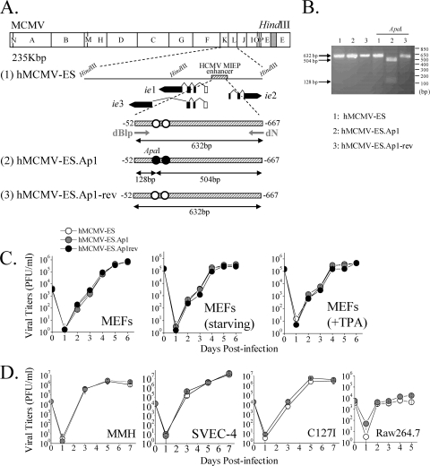 FIG. 6.