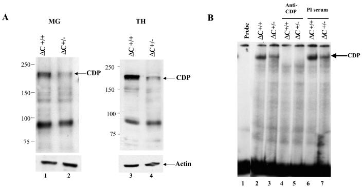 FIG. 7.