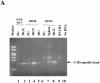 FIG. 5.
