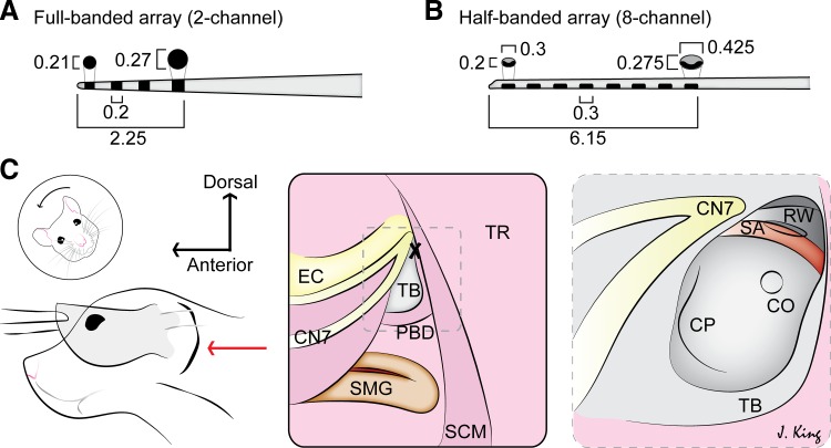 Fig. 4.