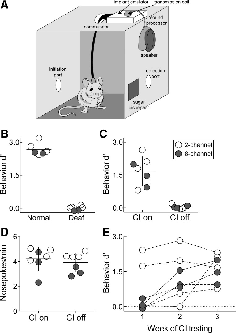 Fig. 9.