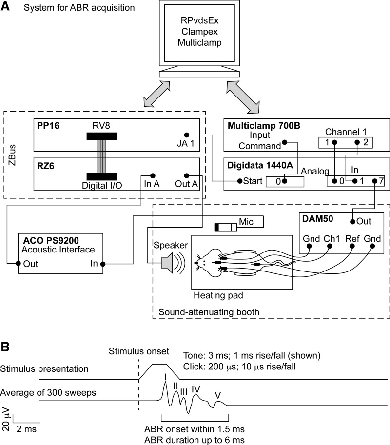 Fig. 2.