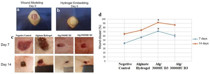 Fig. 3