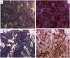 Fig. 10
