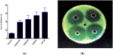 Fig. 12