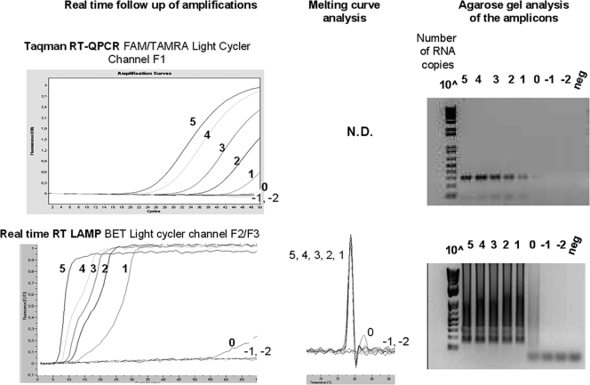 FIG. 2.