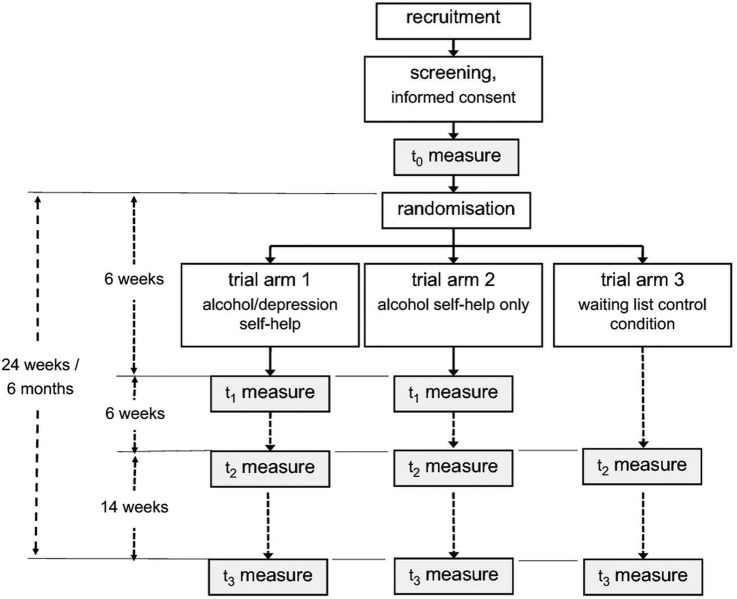 Figure 1