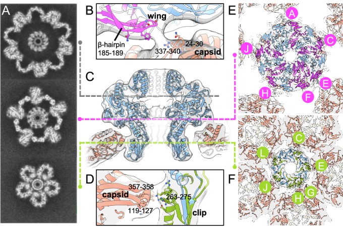 Figure 3.