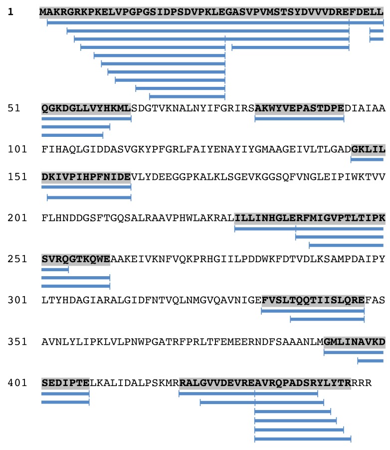 Figure 1—figure supplement 2.