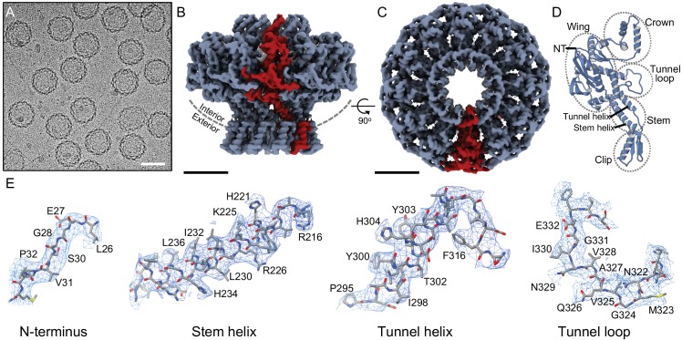 Figure 1.