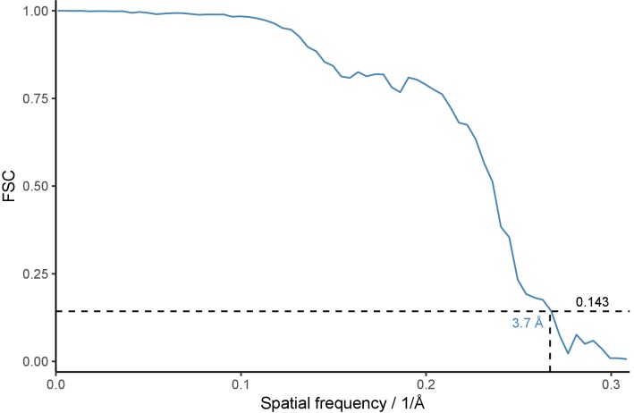 Figure 1—figure supplement 1.