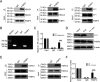 FIG 2