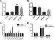 FIG 6