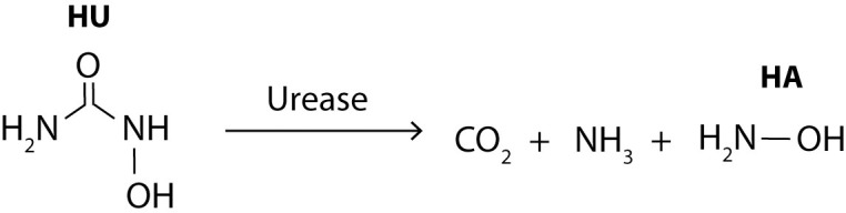 Fig 5