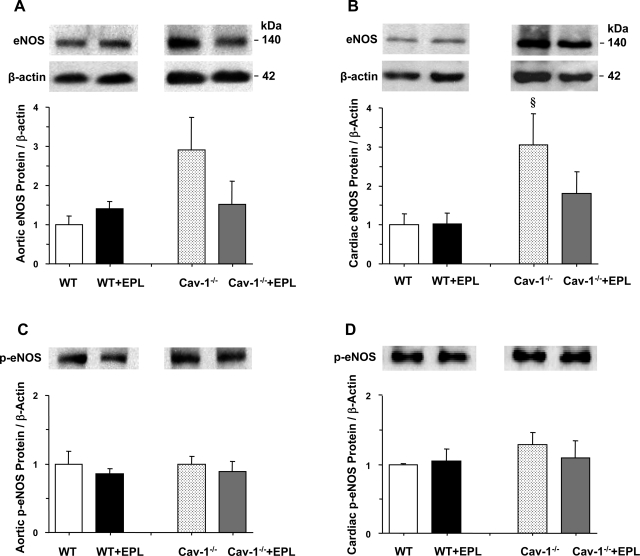 Fig. 10.