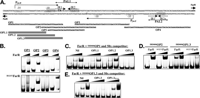 FIG 2