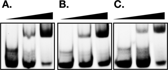 FIG 6