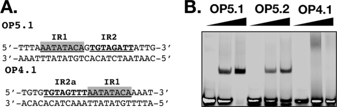 FIG 4