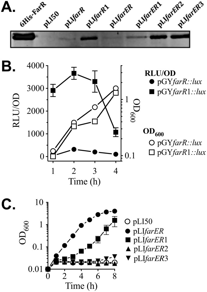 FIG 5