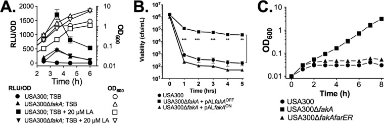 FIG 7