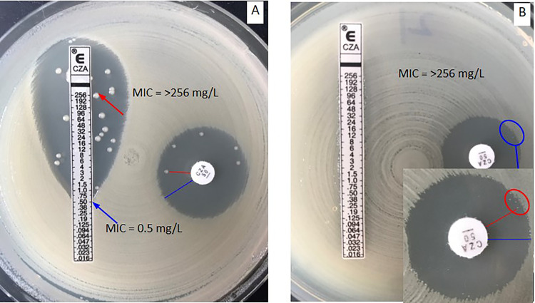 FIG 10