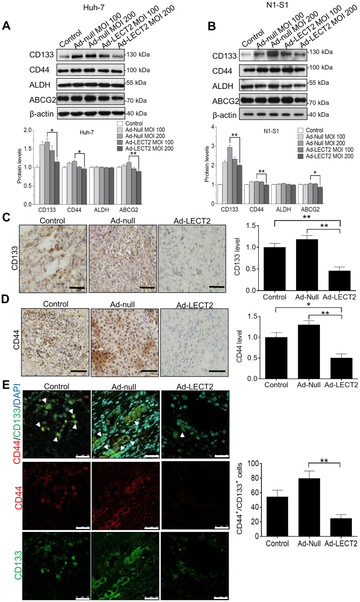 Figure 6