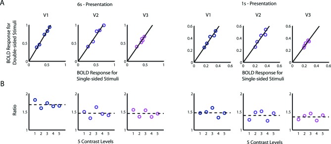 Figure 4—figure supplement 1.