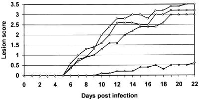 FIG. 4